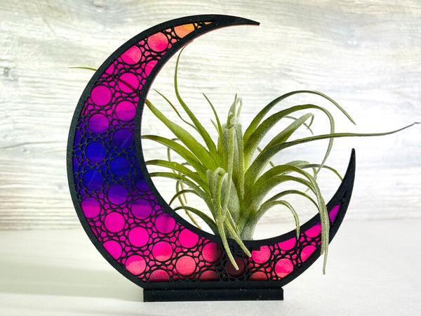 Celestial Moon Air Plant Holder